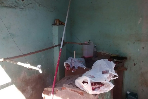 Homem que matou capivara para comer é procurado pela polícia