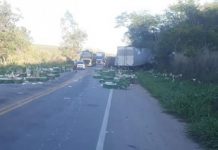 Colisão entre carreta e caminhão deixa dois mortos na BR-116, no Vale do Jequitinhonha
