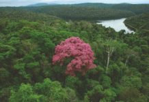 Municípios têm até 15 de abril para enviar Fator de Qualidade do ICMS Ecológico