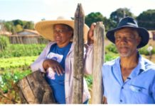 Números mostram importância da agropecuária em Minas Gerais