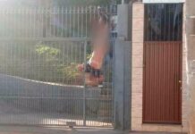 Homem fica pelado e preso em grade ao tentar roubar casa em Minas