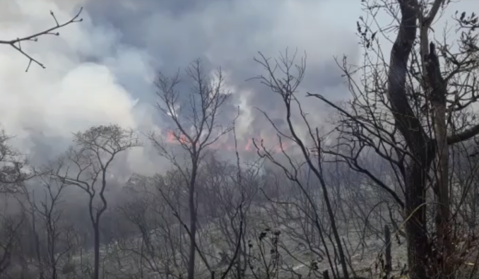Incêndios destroem grandes áreas no município de Capelinha