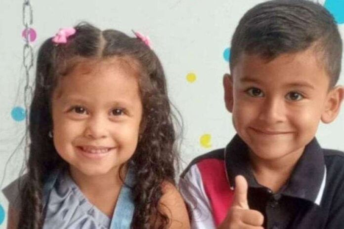 Irmãos morrem após ingestão de fruta venenosa