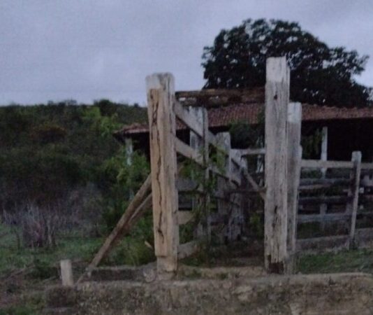 Homem é preso por furto de gado em Medina, no Vale do Jequitinhonha